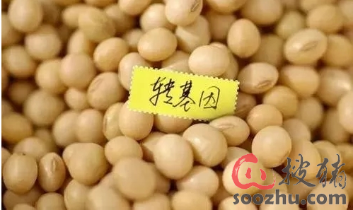 【注意】黑龙江焚烧转基因种子200多吨!