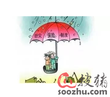 四川:锦泰保险1774万元生猪价格指数保险赔付