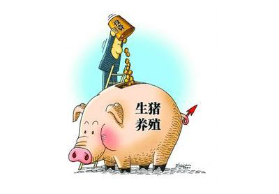 3月5日生猪日报：今日全国瘦肉型猪出栏均价29.27元/公斤