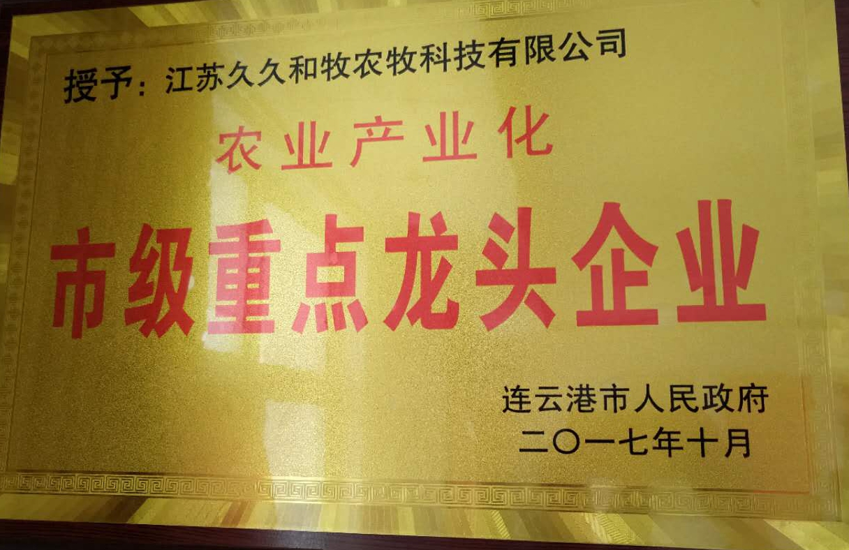 市级重点龙头企业