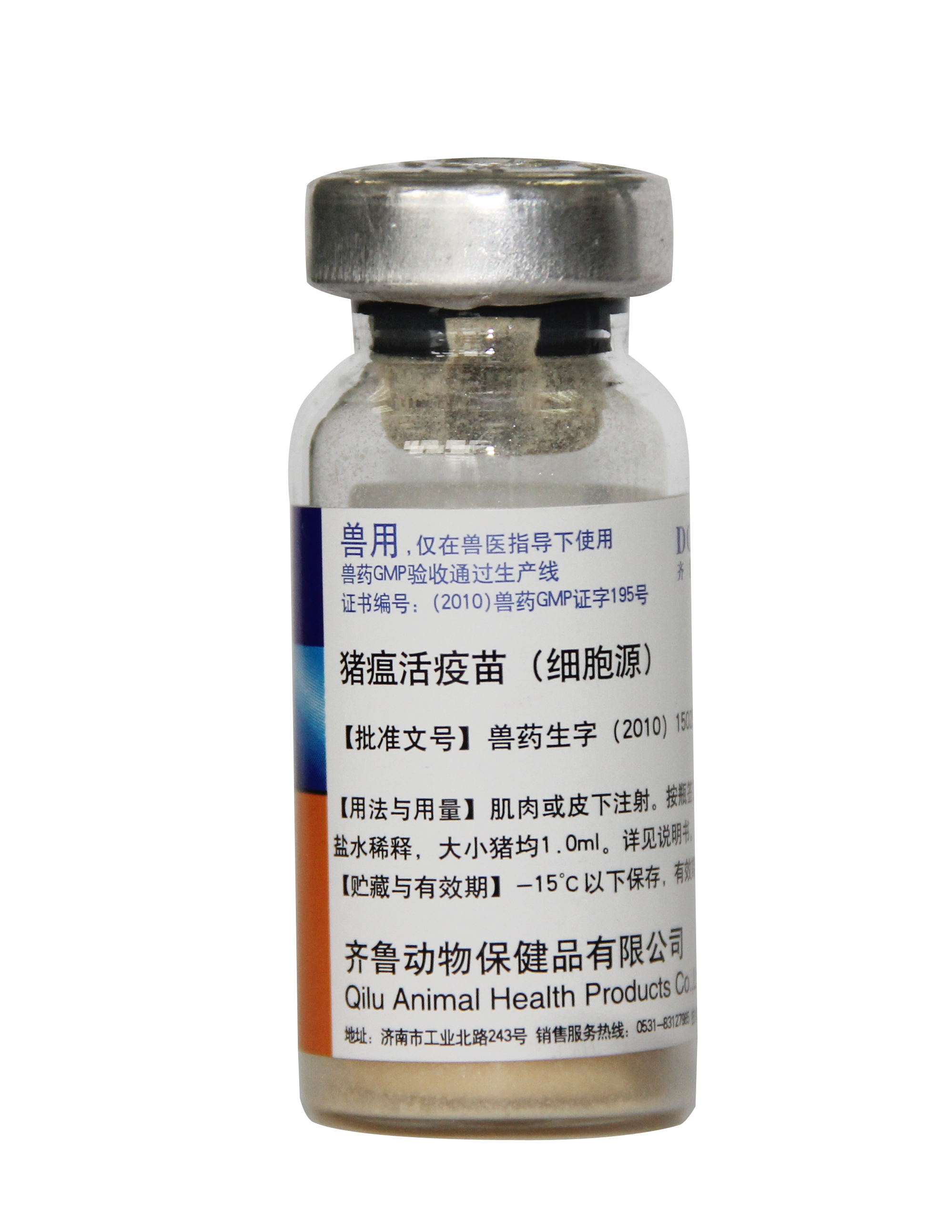 【主要成分与含量】本品系用猪瘟兔化弱毒株接种易感细胞培养,收获