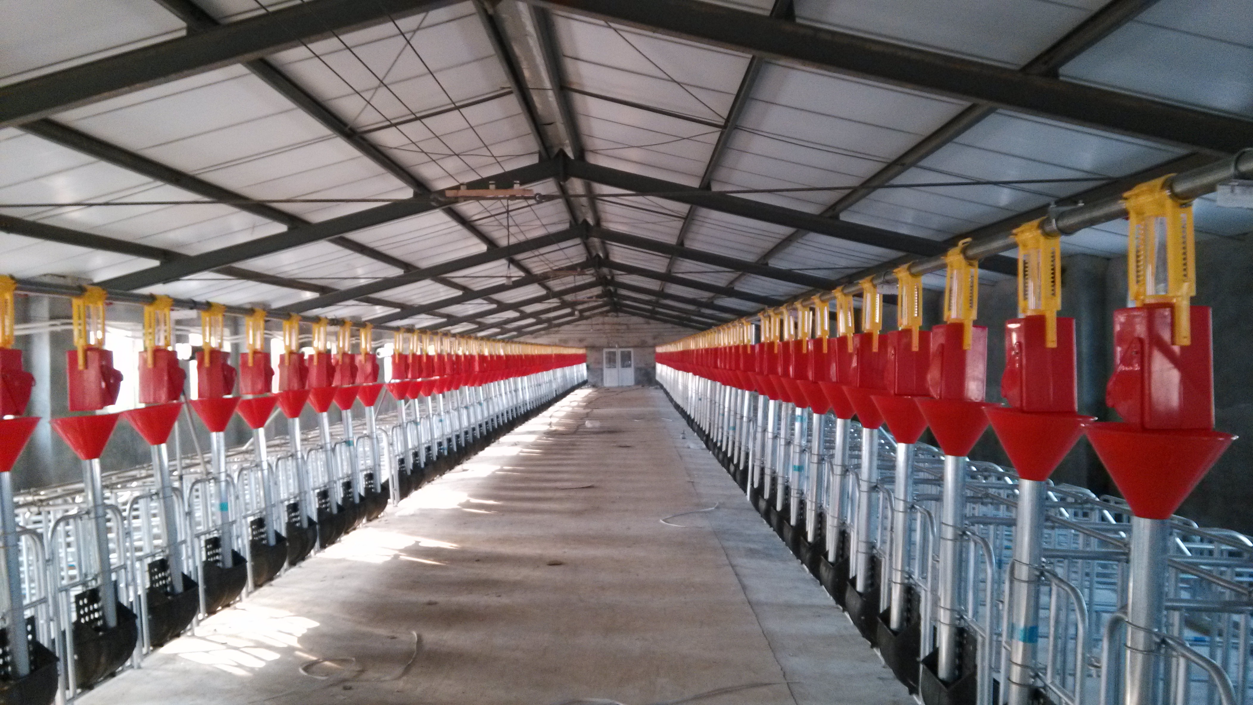 产品中心|沧州市永高农牧机械科技有限公司|搜猪网_中国生猪预警网企