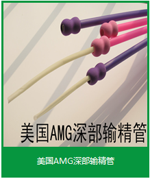 美国AMG深部输精管