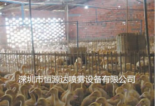 养鸭场夏季喷雾降温防暑消毒设备