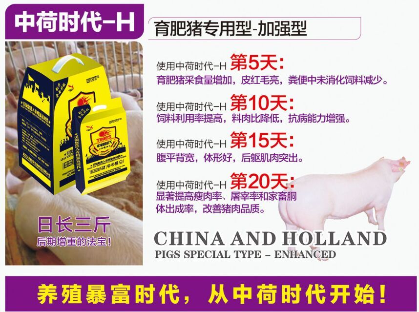 中荷时代(育肥猪专用型