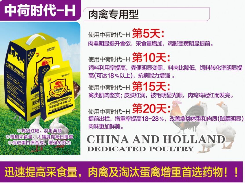 中荷时代(肉禽专用型)