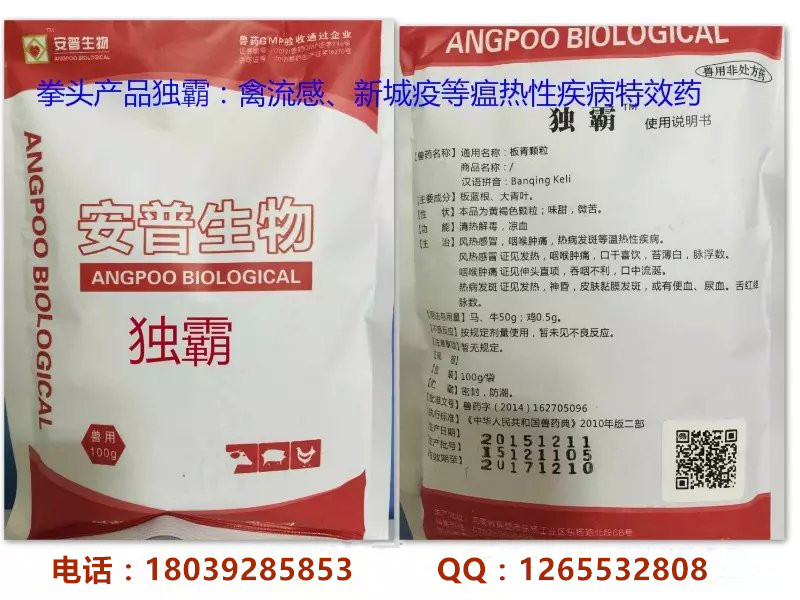 兽药板青颗粒供应/求购 板青颗粒厂家直销