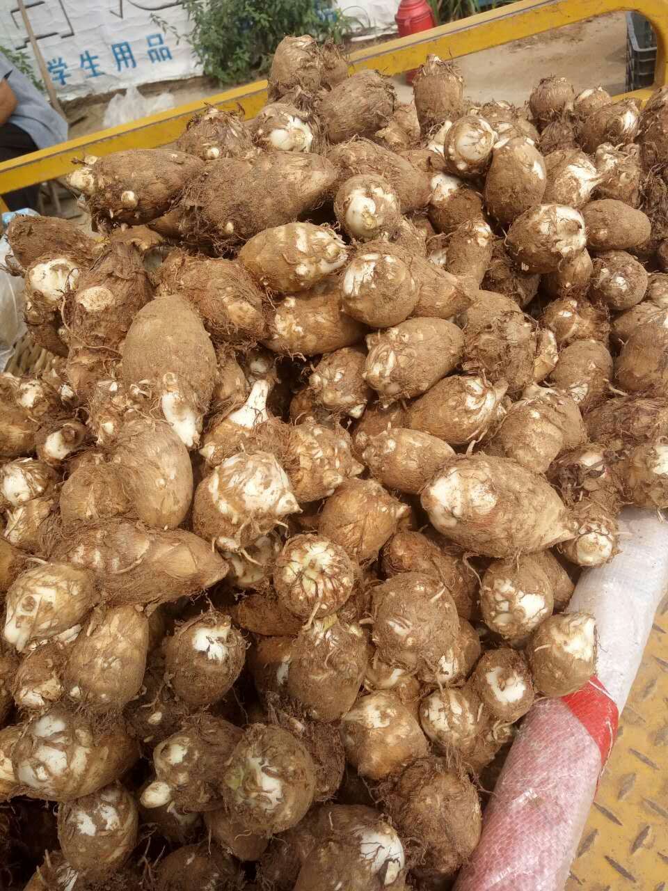 山东芋头基地新鲜芋头上市价格生姜价格